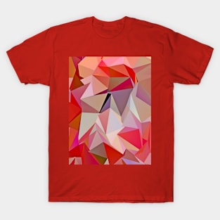 Polyrosa 2 T-Shirt